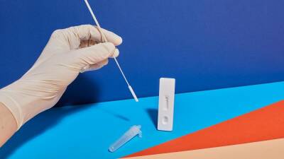 'Stealth Omicron': Is subvariant BA.2 a more transmissible strain of COVID and should we be worried? - euronews.com - Britain - Denmark