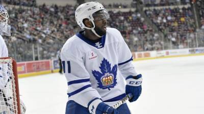 ECHL suspends Jacob Panetta indefinitely, pending hearing, for racist taunt at Jordan Subban - espn.com - Jordan -  Jacksonville - state South Carolina