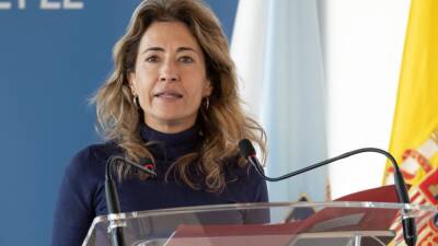 El Gobierno da detalles sobre el futuro peaje de las carreteras - en.as.com - Portugal - Austria