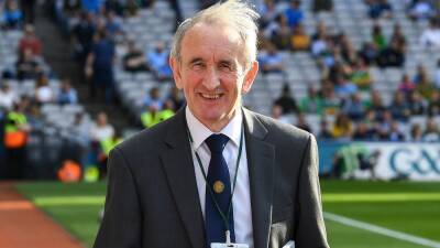 Willie Barrett: Defined role needed for on-field messengers - rte.ie