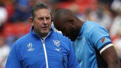 Christian Radnedge - Joe Schmidt - Ex-Wales international Davies named director of rugby by world governing body - channelnewsasia.com - Namibia