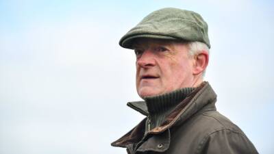 Allegorie De Vassy wins Fairyhouse feature - rte.ie - France - Ireland