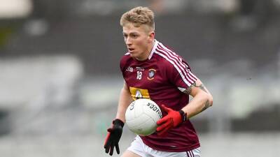 Westmeath recover from slow start to see off Wicklow at Mullingar - rte.ie - county Lake