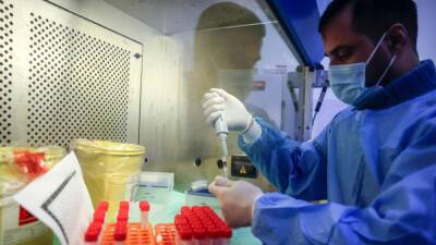 Calculan el riesgo de reinfección con Ómicron - en.as.com