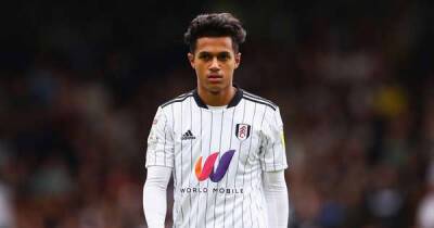 Thomas Tuchel - Marina Granovskaia - Fabio Carvalho - Eden Hazard - Jurgen Klopp - Carlo Ancelotti - Fabrizio Romano - Luis Díaz - Chelsea handed £55m transfer template that secures Thomas Tuchel perfect Eden Hazard replacement - msn.com - Belgium