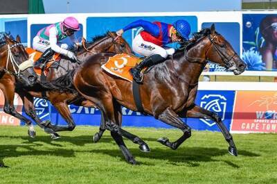 Home town hero, Kommetdieding, lands Cape Town Met - news24.com -  Cape Town -  Durban