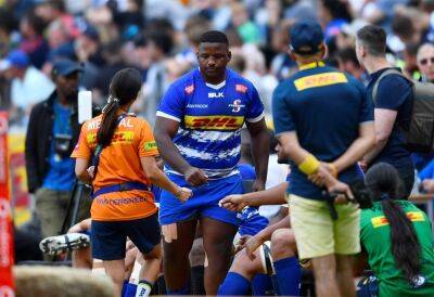 John Dobson - Marvin Orie - Evan Roos - Two yellows and a red: Stormers coach 'not irritated' by discipline as cards fly against Edinburgh - news24.com -  Cape Town -  Sandi