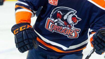 AHL's Condors fire head athletic trainer after felony offences charges