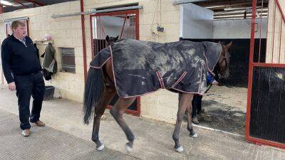 'Shark' crosses Atlantic to chase American dream with Hewick - rte.ie - Britain - Belgium - Usa - Ireland - state New Jersey