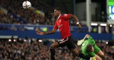 Manchester United's third goal vs Everton could've stood due to loophole in rule book