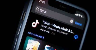A job for you? TikTok fans could get paid £40 an hour to binge-watch videos
