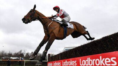 Punchestown win sets Darver Star up for Honeysuckle date
