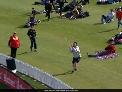 Watch: Fan Gets Huge Ovation For Brilliant Catch During New Zealand vs Bangladesh T20I