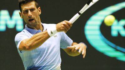 Craig Tiley - Tennis Australia powerless to support Djokovic's visa application, says CEO Tiley - thenationalnews.com - Australia