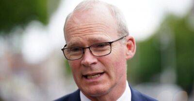 Vera Pauw - Conveney: FAI apology over IRA chant is sincere - breakingnews.ie - Scotland - Ireland