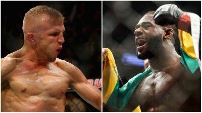 Henry Cejudo - Aljamain Sterling - UFC 280: TJ Dillashaw believes Aljamain Sterling is playing 'mental warfare' with PED accusations - givemesport.com