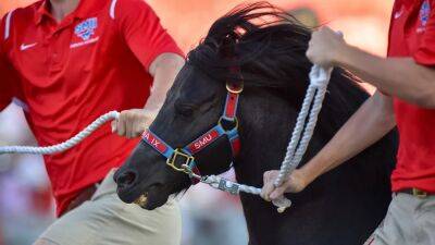 SMU's horse mascot causes unfortunate delay in team's game vs Navy - foxnews.com - Usa -  New York -  Chicago - state Texas