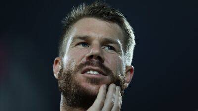 David Warner Could Return To Captaincy Duties In BBL After Calls For Review Of Code Of Conduct