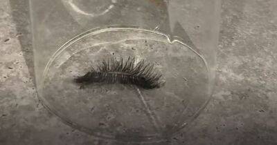 Woman left howling after creepy-crawly brave dad captured in her bathroom turns out to be something very different - manchestereveningnews.co.uk