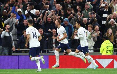 Tottenham 2 Everton 0 - Report