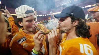 Tennessee asks for donations to help pay for new goalposts following wild celebration