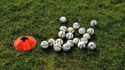 Munster GAA investigating alleged assault of Under-9 player - rte.ie - county Roscommon - county Wexford