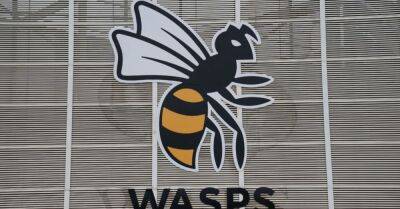 Wasps placed into administration as holding company ceases trading
