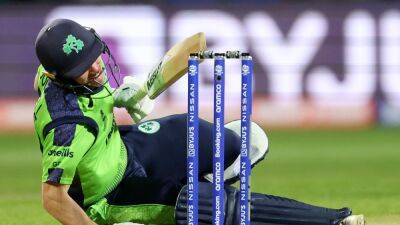 Ireland eagerly scouting Scotland as crunch game looms