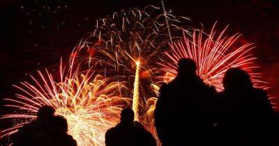 Should we ban the sale of fireworks to the public?
