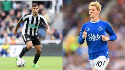 Newcastle vs Everton Live Stream: How to watch, TV channel, predicted lineups, head-to-head, odds, prediction and everything you need to know