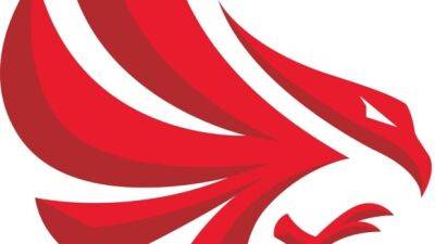 Calgary Surge unveiled as Canadian Elite Basketball League's newest franchise - cbc.ca