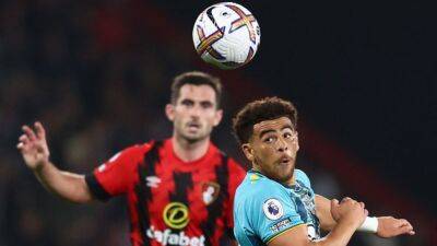 Soccer-Adams strike lifts Southampton out of relegation zone