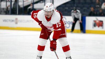 Red Wings F Vrana placed in NHL/NHLPA Player Assistance Program