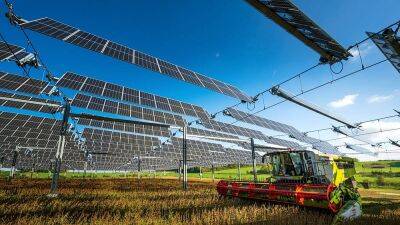 French farmers are covering crops with solar panels to produce food and energy at the same time