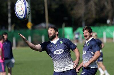 Injury could keep Frans Steyn out of Bok tour
