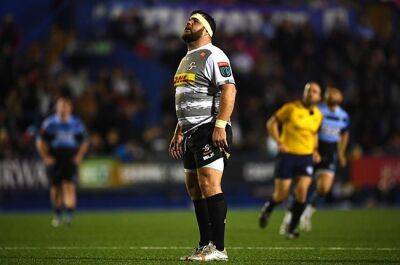 Frans Malherbe - Malherbe honoured after passing Schalk's Stormers record: 'It's special, he is a legend' - news24.com