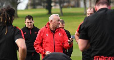 Wales press conference live as replacement called up and injury updates issued