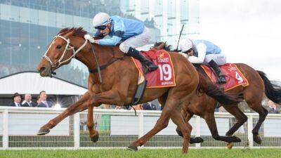 Durston to miss Melbourne Cup after scan