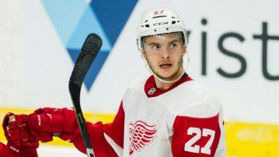 Red Wings F Rasmussen to have hearing for high stick
