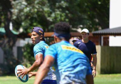 Damian Willemse - Steven Kitshoff - Marius Louw - Frans Malherbe - John Dobson - Deon Fourie - Emmanuel Tshituka - Quan Horn - Dobson unfussed about playing newly-minted Boks ahead of tour: 'They're available and keen' - news24.com - Ireland - Jordan -  Dublin