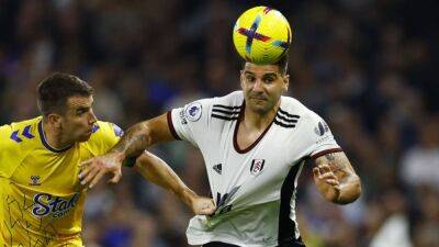 Soccer-Mitrovic frustrated as Fulham held by Everton