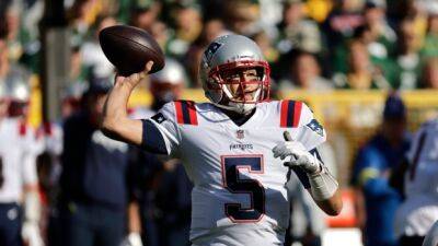Patriots QB Hoyer leaves with head injury vs. Packers