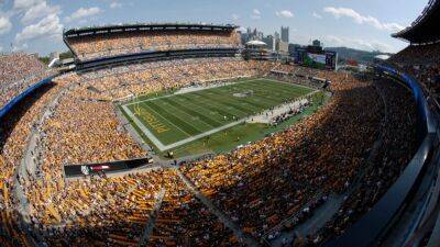 Spectator at Steelers game dies after fall from escalator - espn.com - New York -  New York