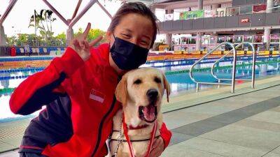 ‘The bond between us is indescribable’: Paralympic swimmer Sophie Soon on her relationship with her guide dog - channelnewsasia.com