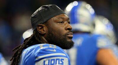 Super Bowl champ LeGarrette Blount throws punches at youth football game, police say