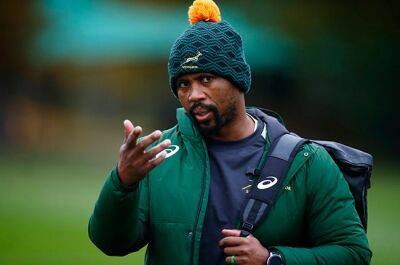 Bok assistant coach Stick to take charge of SA A on UK tour, Erasmus and Nhleko in the mix
