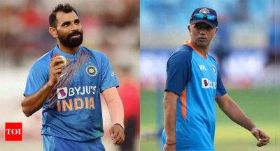 Jasprit Bumrah - T20 World Cup: Will take a call on Bumrah's replacement after looking at Shami's recovery, says Rahul Dravid - timesofindia.indiatimes.com - Australia - South Africa - India