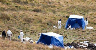 Latest pictures from Saddleworth Moor as search for remains of Moors Murders victim Keith Bennett enters seventh day - manchestereveningnews.co.uk - Manchester