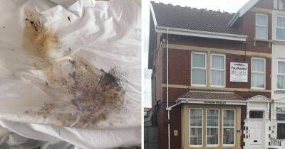 'No one should have to deal with that' Blackpool's most popular B&B hit by disgusting guests - manchestereveningnews.co.uk - county Keith