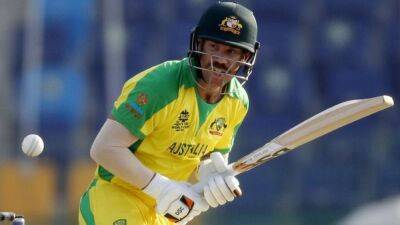 Tim David - Cricket-Australia's Warner hails 'godsend' David after Brisbane blitz - channelnewsasia.com - Australia - India - Singapore